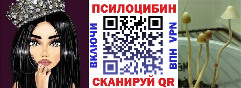 Галлюциногенные грибы ЛСД Егорьевск